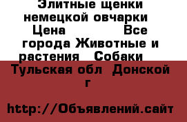 Элитные щенки немецкой овчарки › Цена ­ 30 000 - Все города Животные и растения » Собаки   . Тульская обл.,Донской г.